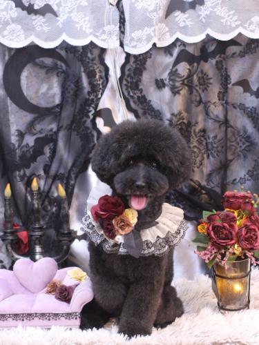 20231014ラブくん